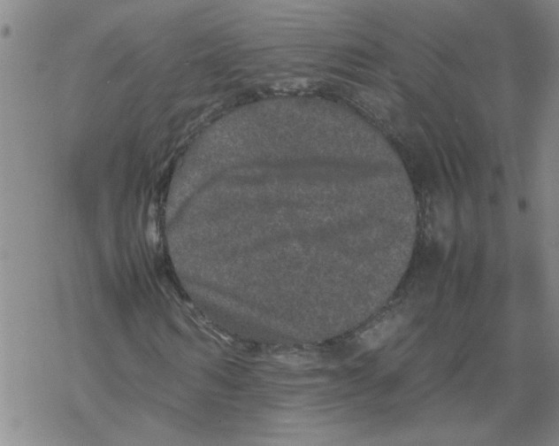 X0000067910962200605111938