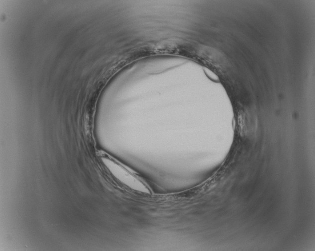 X0000067910963200605111938