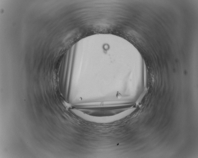 X0000067910964200605111938