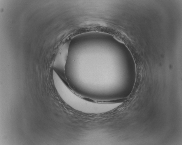 X0000067910965200605111938