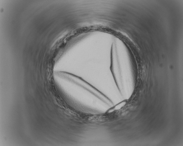 X0000067910967200605111938