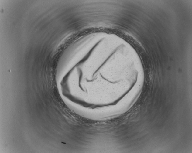 X0000067910968200605111938