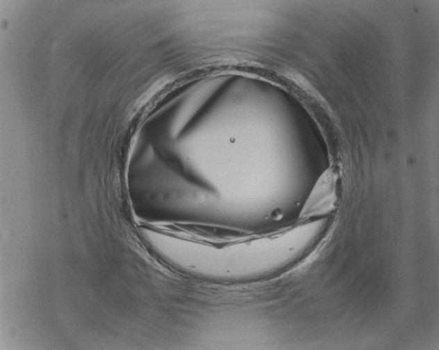 X0000067910969200605111938