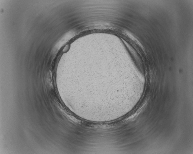 X0000067910970200605111938