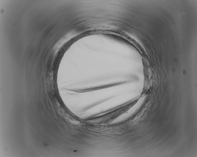 X0000067910971200605111938