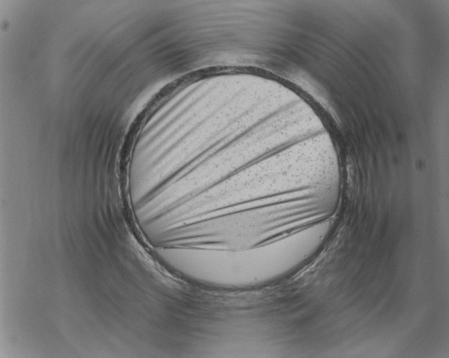 X0000067910972200605111938