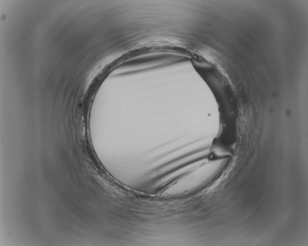 X0000067910973200605111938