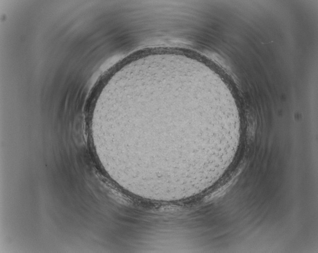 X0000067910974200605111938