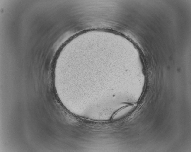 X0000067910975200605111938