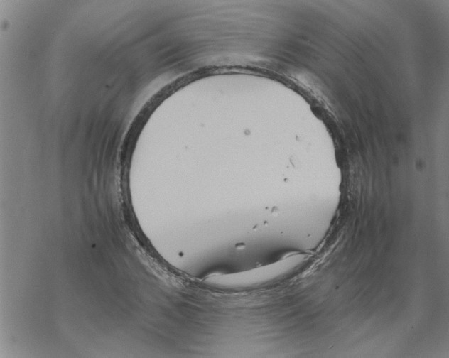 X0000067910976200605111938