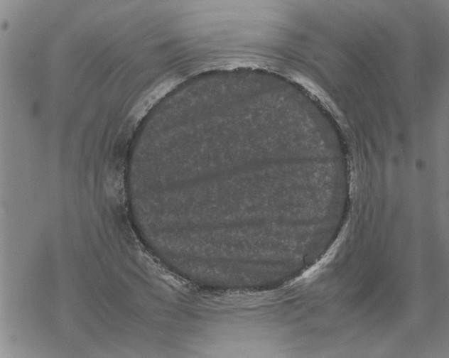 X0000067910977200605111938