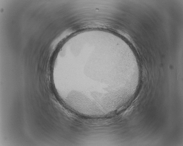 X0000067910979200605111938