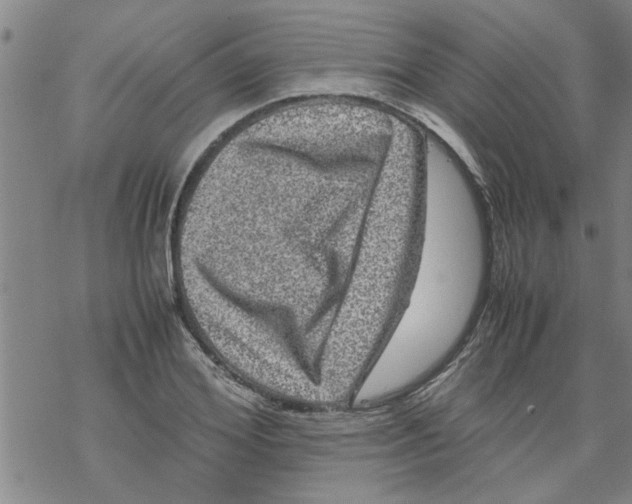 X0000067910980200605111938