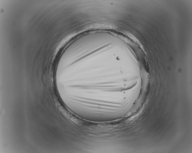 X0000067910981200605111938