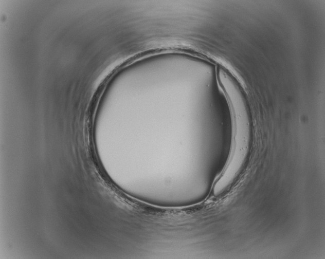 X0000067910983200605111938