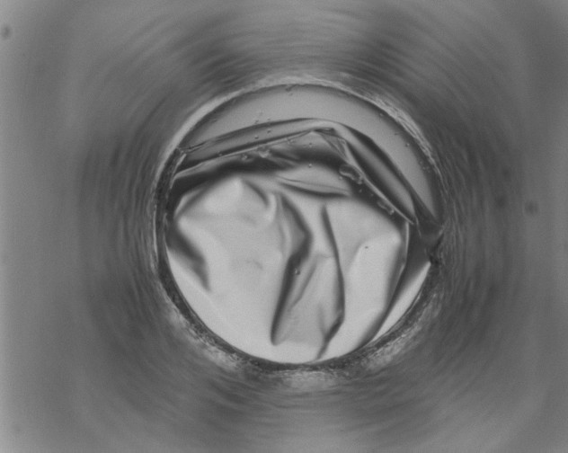 X0000067910984200605111938