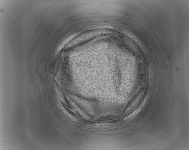 X0000067910985200605111938