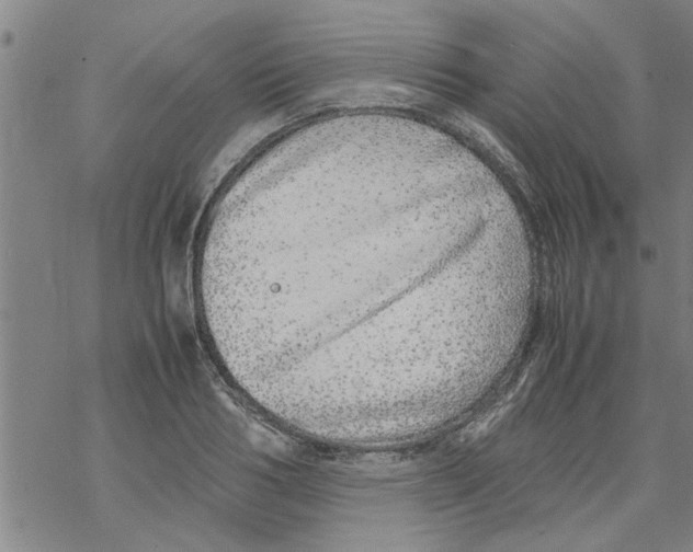 X0000067910986200605111938