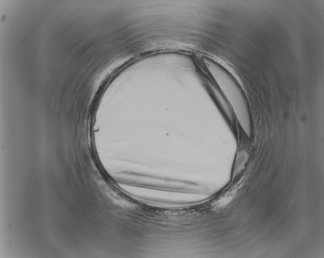 X0000067910987200605111938