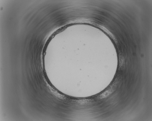 X0000067910988200605111938