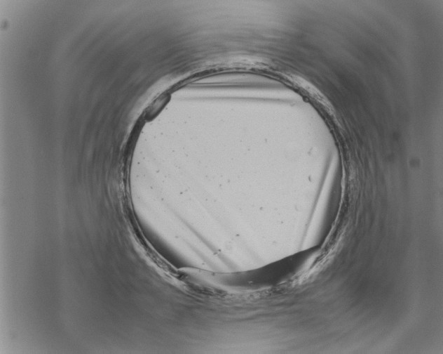 X0000067910989200605111938