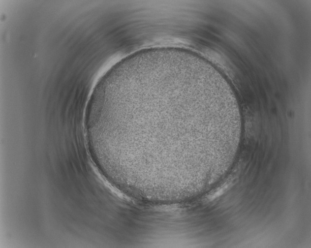 X0000067910990200605111938