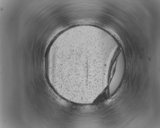 X0000067910992200605111938