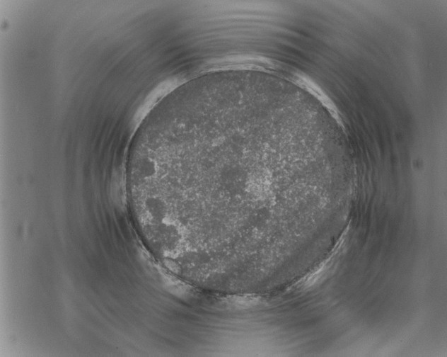 X0000067910994200605111938