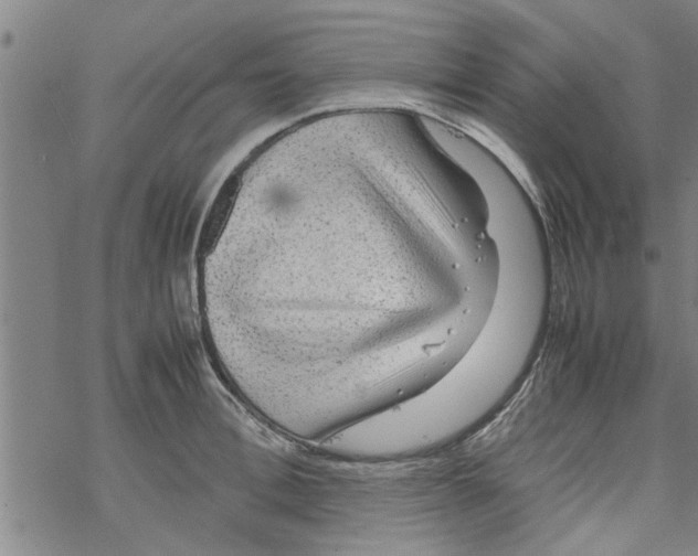 X0000067910996200605111938