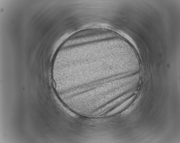 X0000067910997200605111938