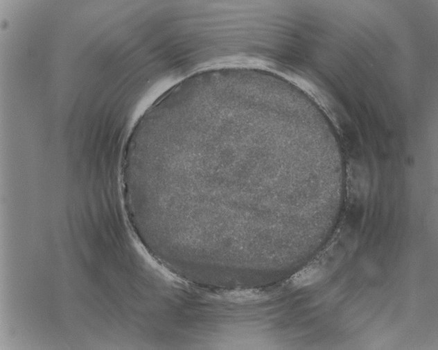 X0000067910998200605111938