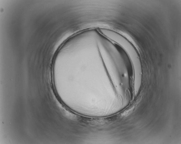 X0000067910999200605111938