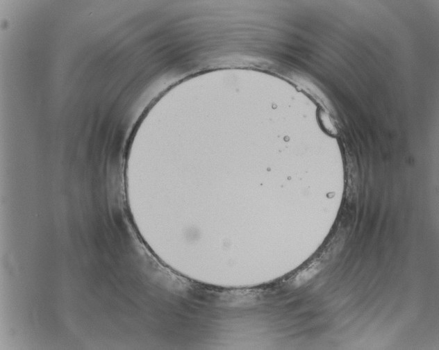 X0000067911000200605111938