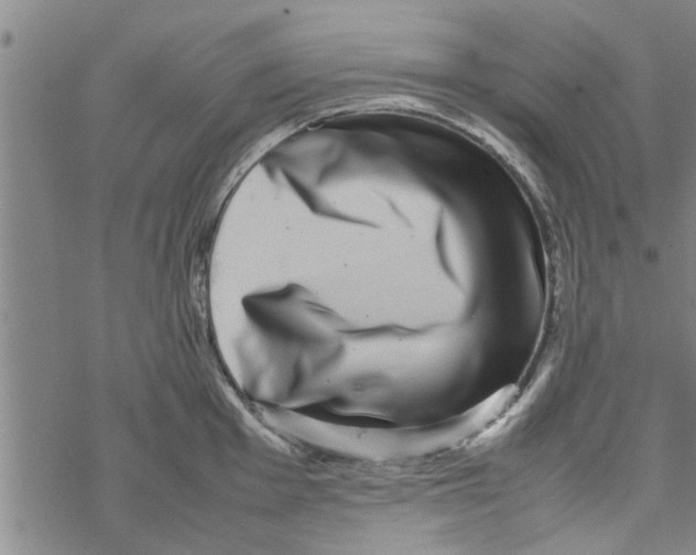 X0000067911001200605111938