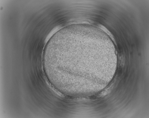 X0000067911002200605111938