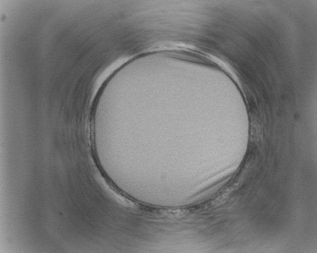 X0000067911003200605111938