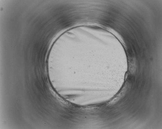 X0000067911004200605111938