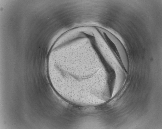 X0000067911006200605111938