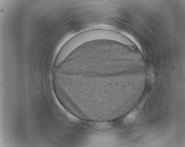 X0000067911007200605111938