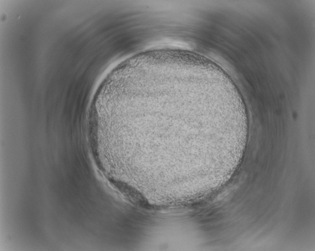 X0000067911008200605111938