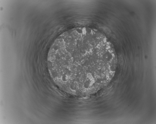 X0000067911009200605111937