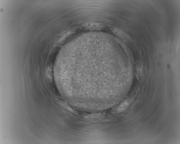 X0000067911010200605111937