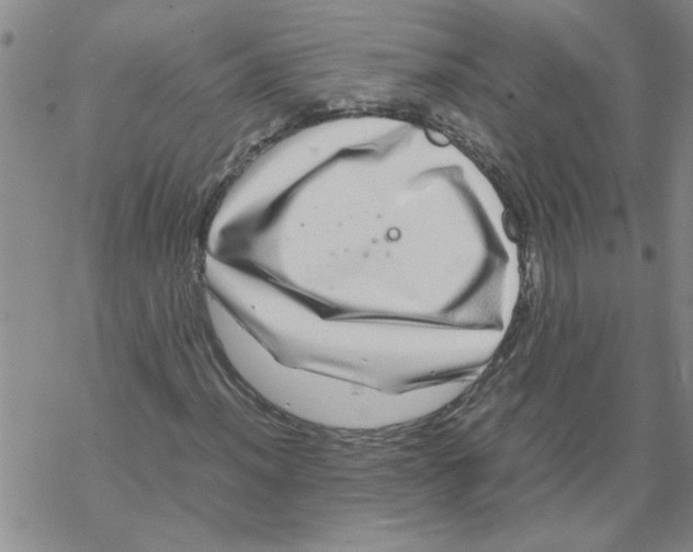 X0000067911012200605111937