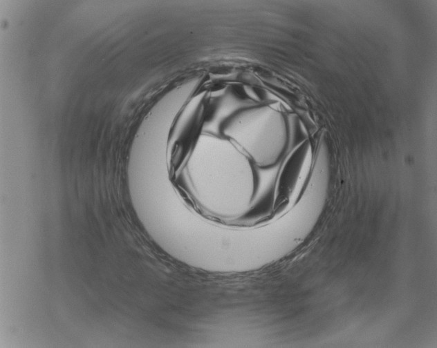 X0000067911014200605111937