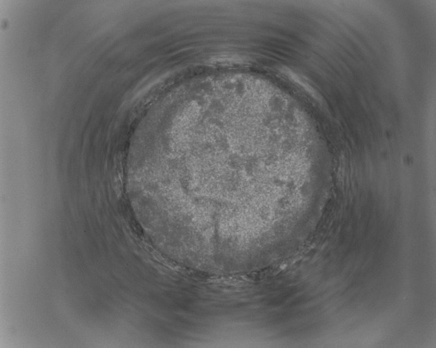 X0000067911015200605111937