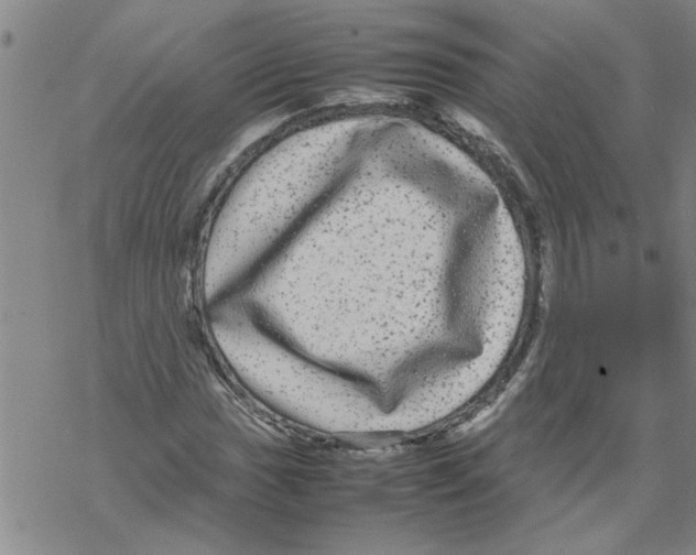 X0000067911017200605111937