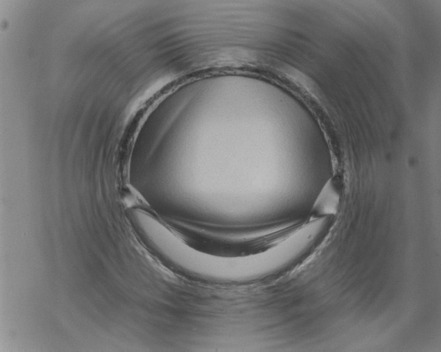 X0000067911018200605111937