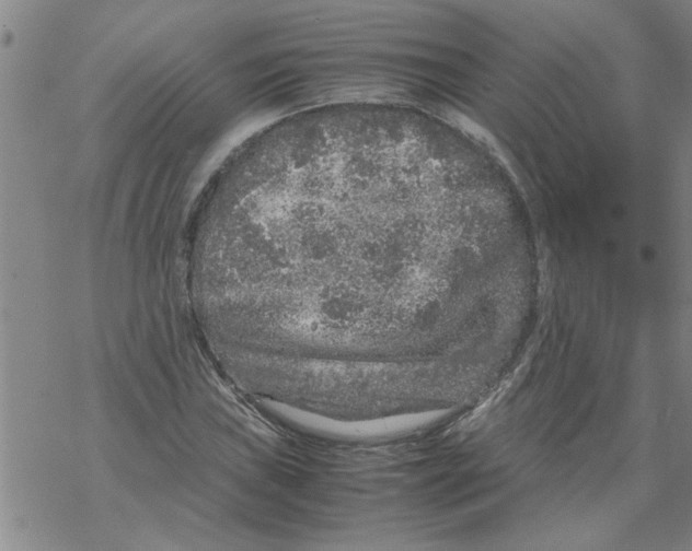 X0000067911019200605111937