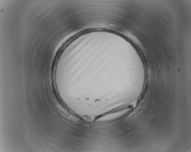 X0000067911020200605111937