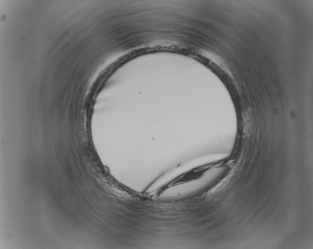 X0000067911021200605111937